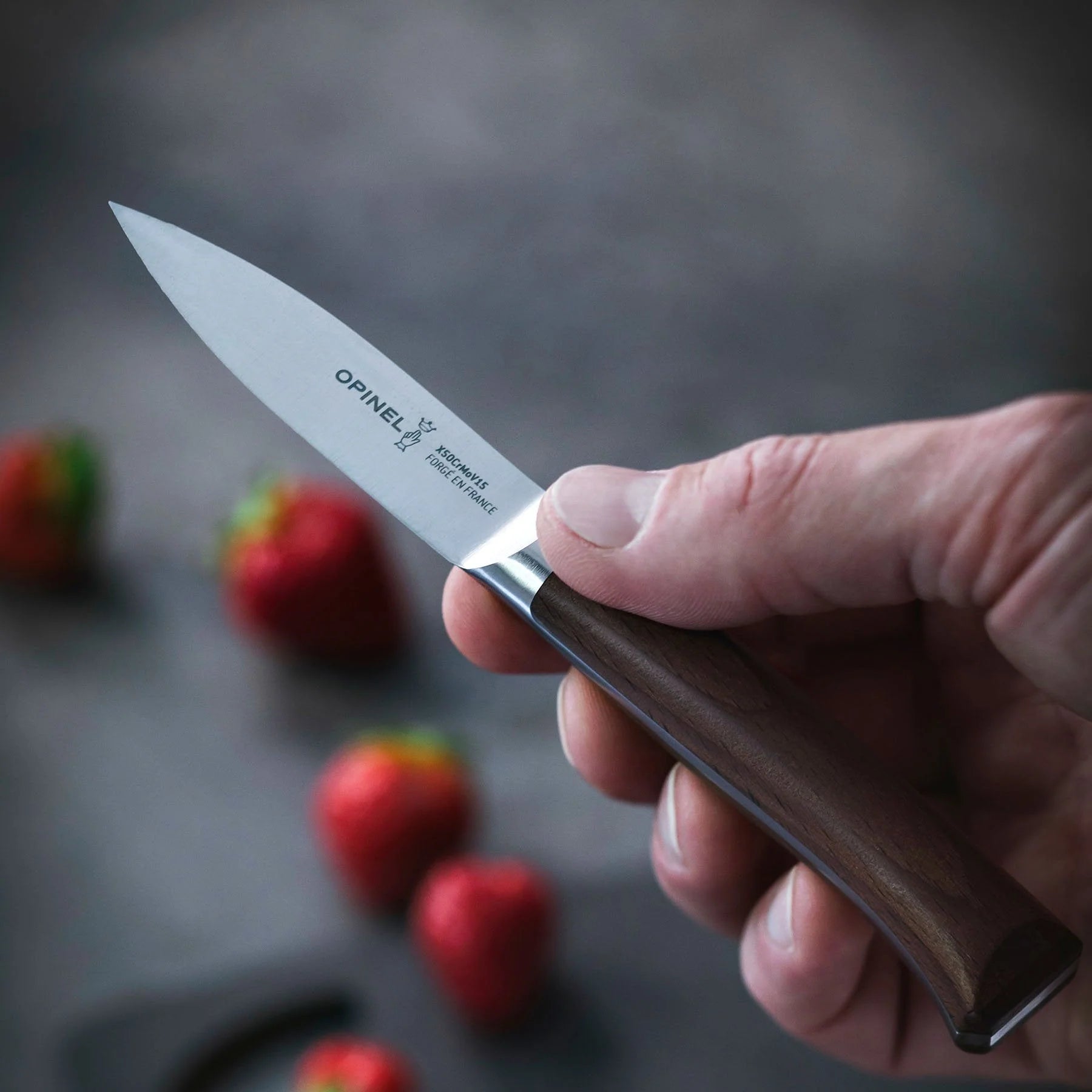 Opinel Les Forges 1890 3" Paring Knife